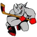 Eindhoven Rhinos