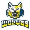 Wolves U20