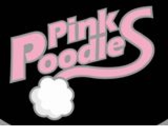 Eerste training Mini Pink Poodles